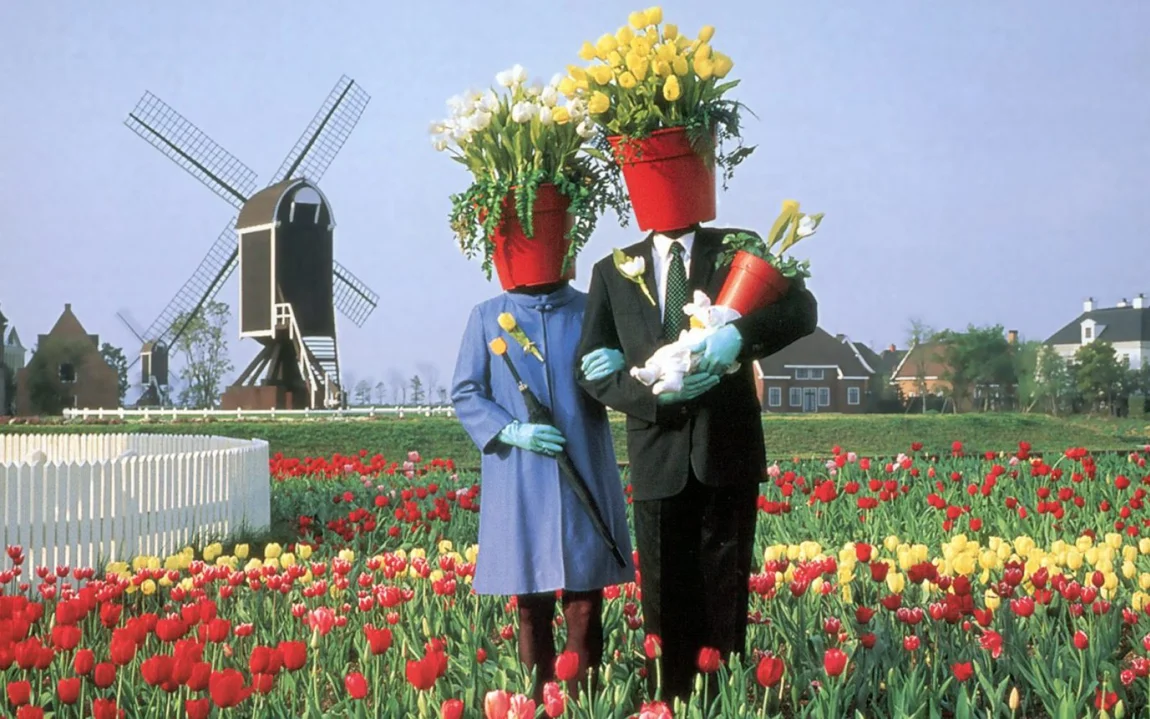 Flowerpots Tulips Treated 1 E1542892620776 1600X1000